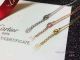 2018 Copy Cartier Gold Panther Necklace - Gold Chain (3)_th.jpg